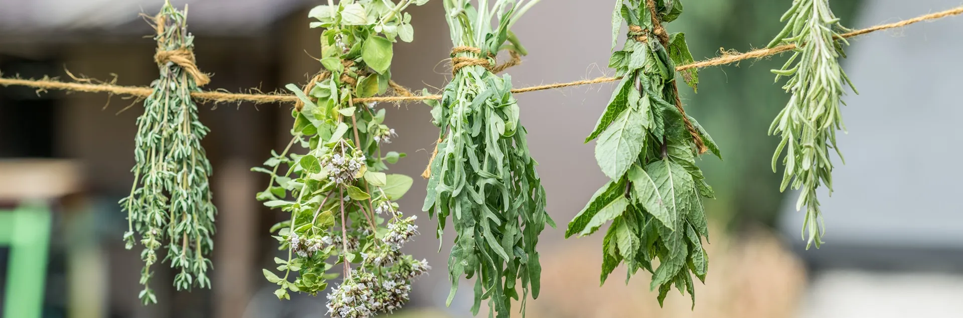 tips for drying herbs