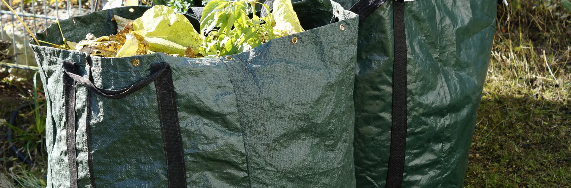 Making your garden winter ready