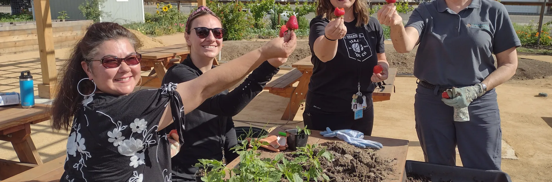 Four female gardeners with holding up fresh red strawberries with a garden in the background