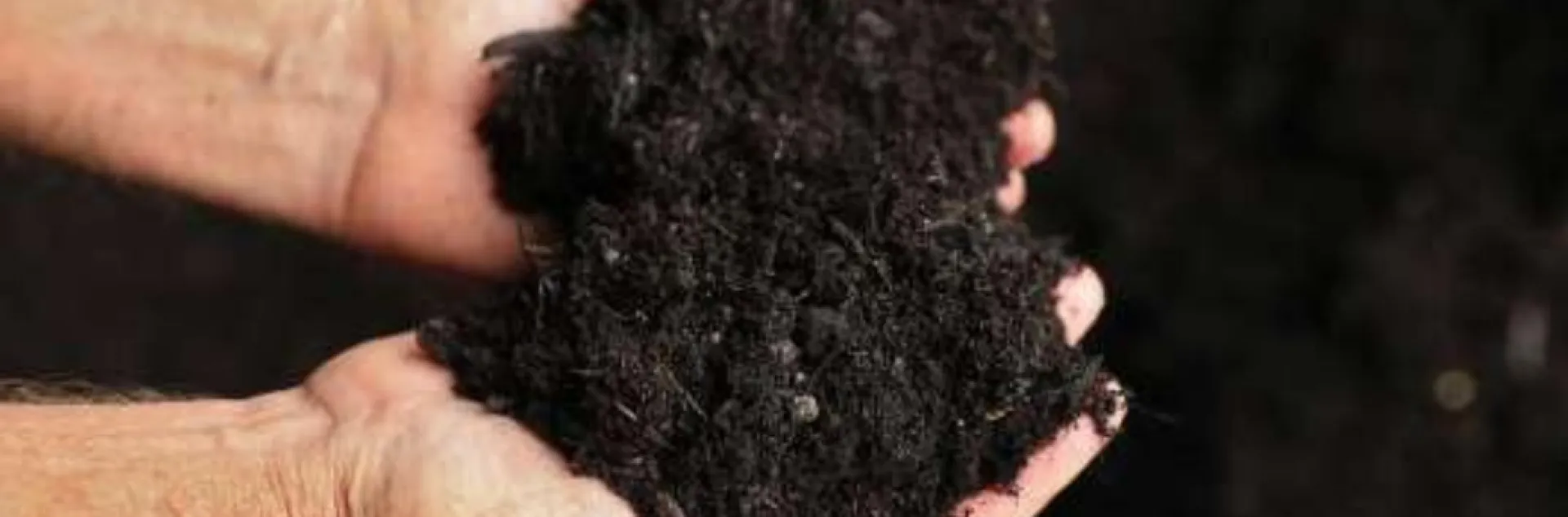 hands holding dark compost