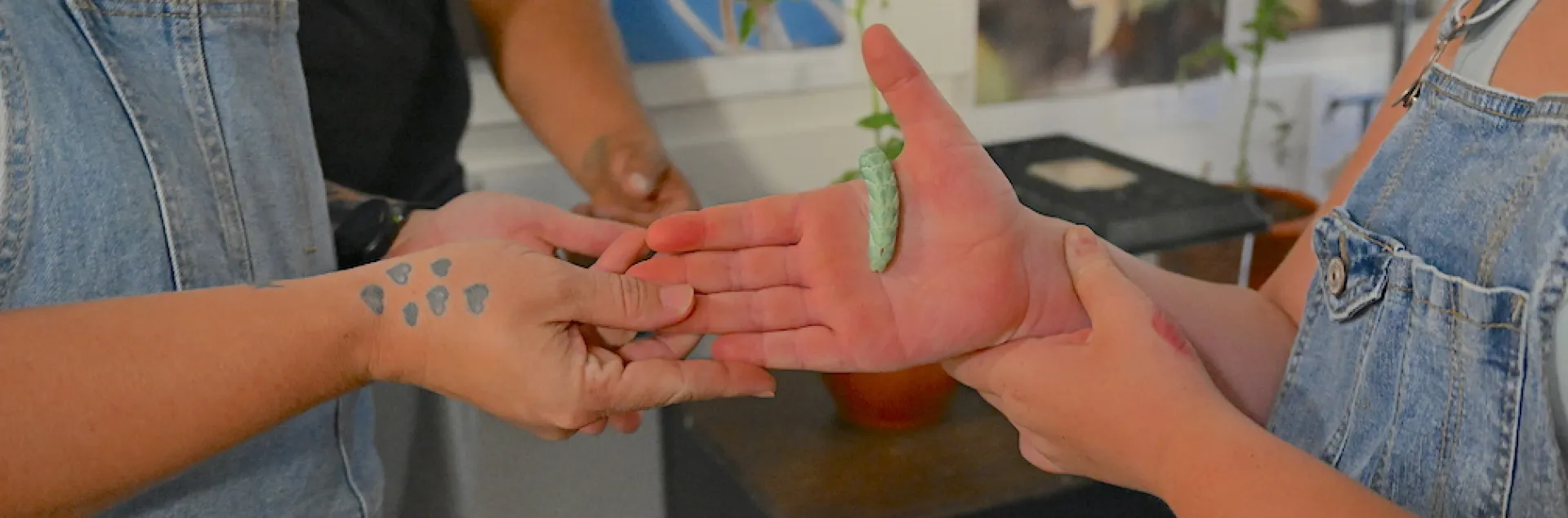 A tomato hornworm passes through hands at the Bohart Museum of Entomology's Moth Night open house.