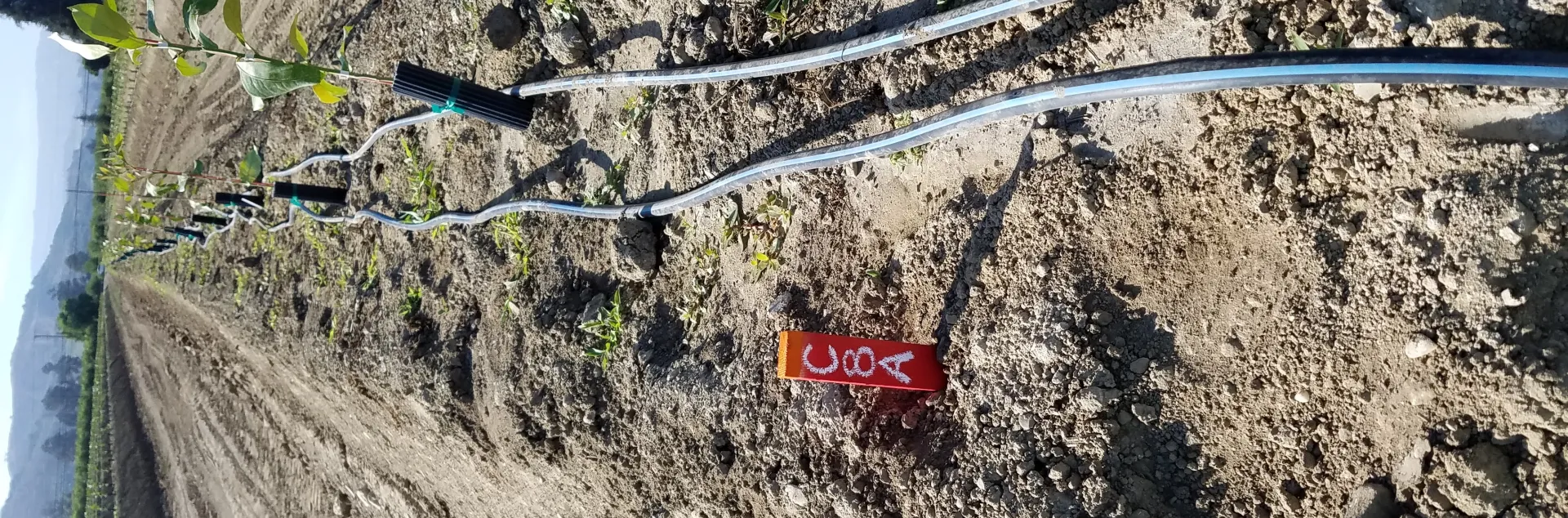 double line irrigation