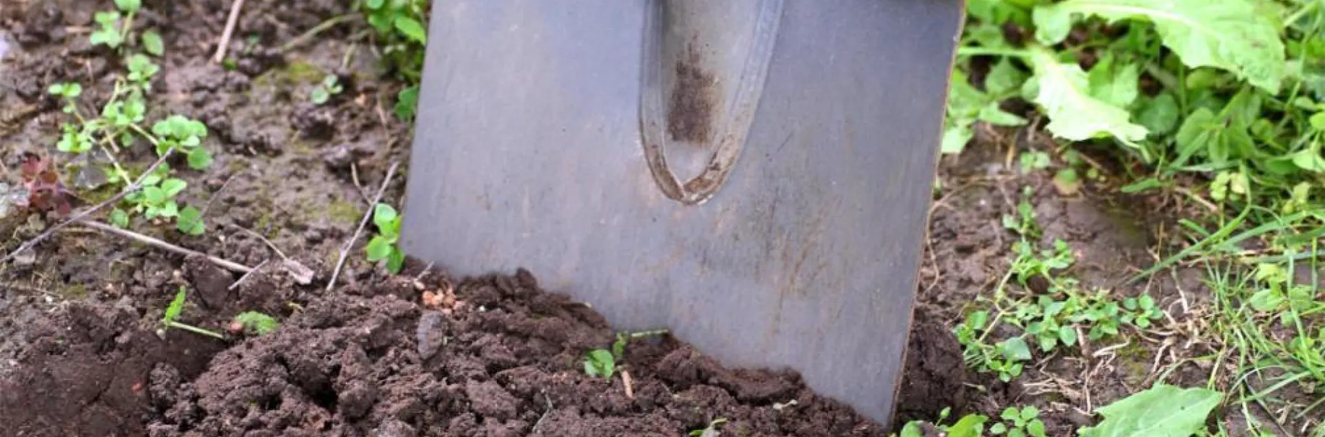 shovel digging into a garden bed