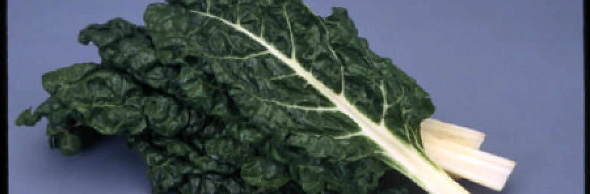 chard on a blue background
