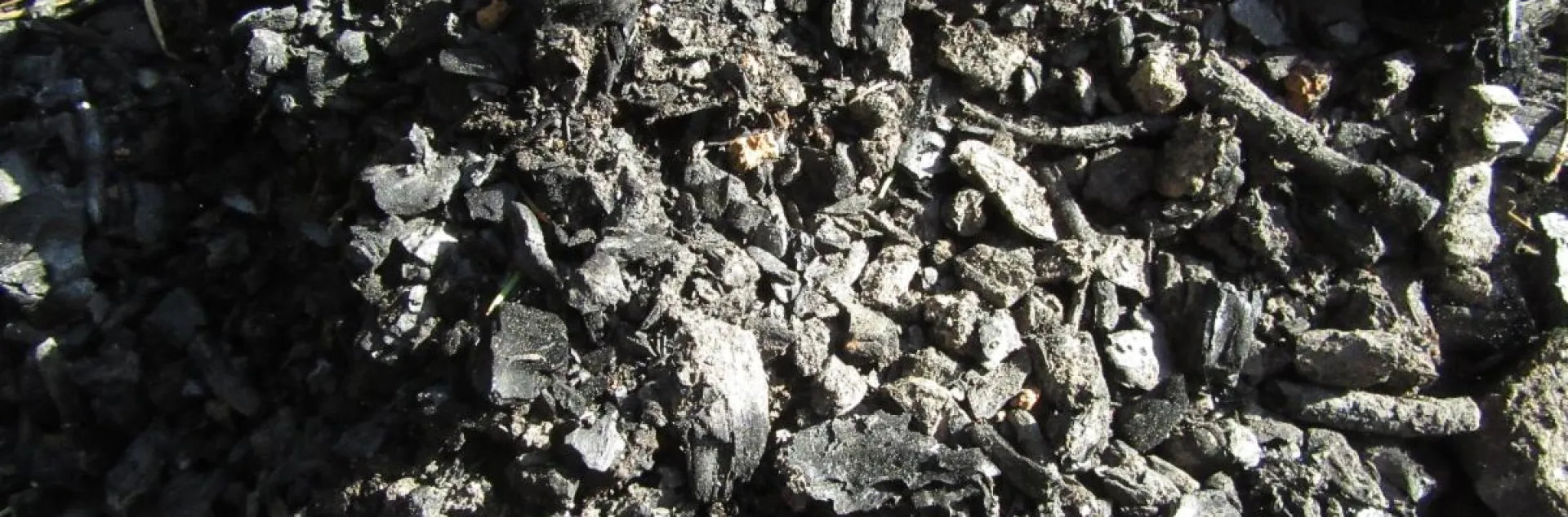 Charcoal created through pile burning.