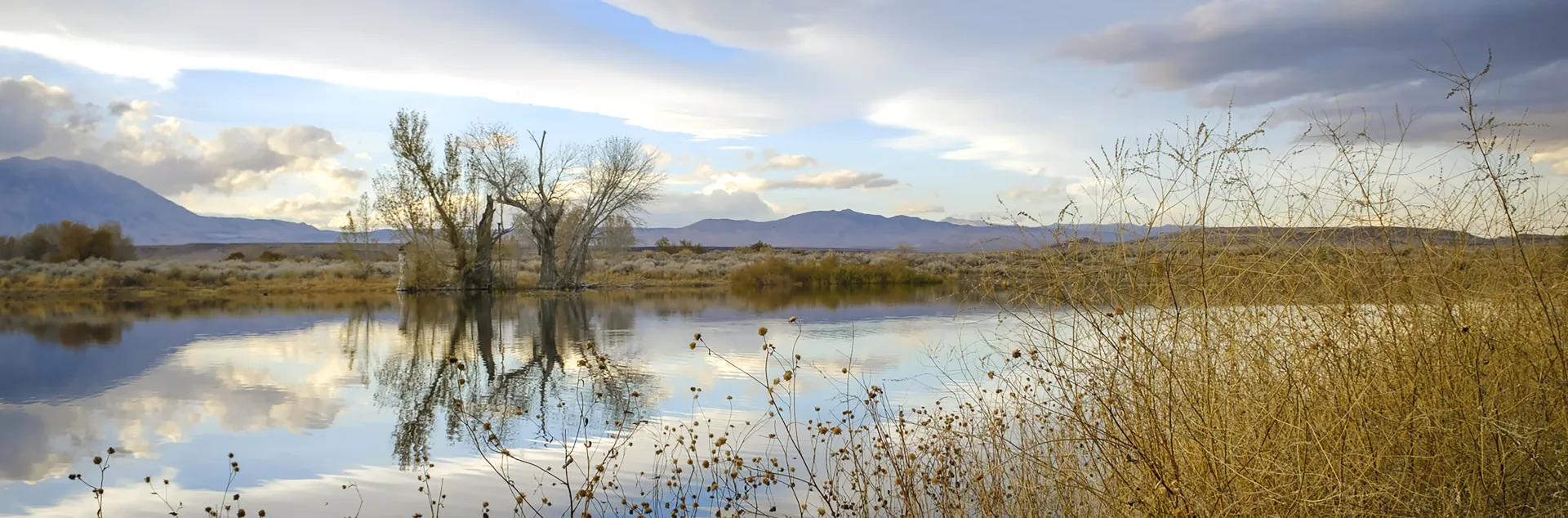 A farmers pond with a reflection of the sky