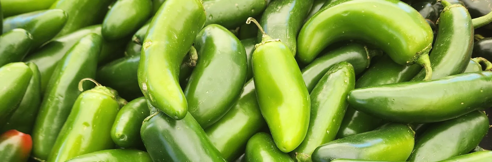 Green jalapeño peppers piled across a table at a farmers market.