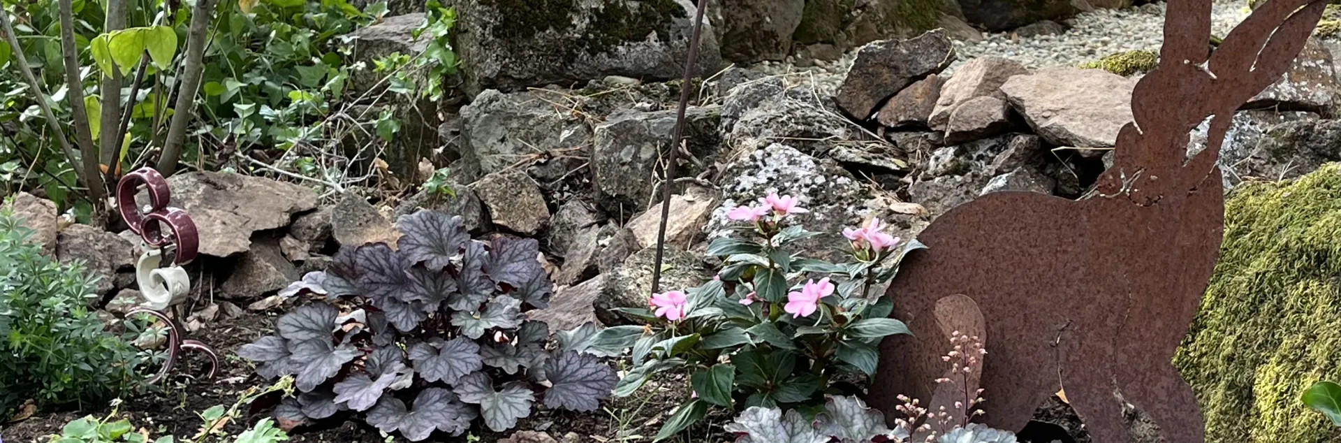 Garden of native and low water plants