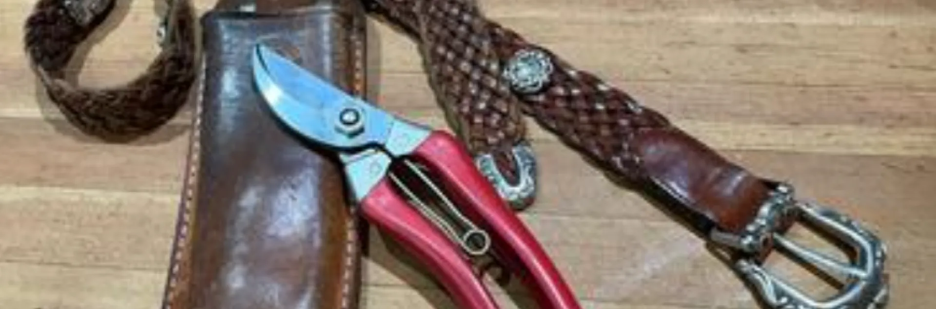 Japanese-made pruners, ARS-120-S and their case