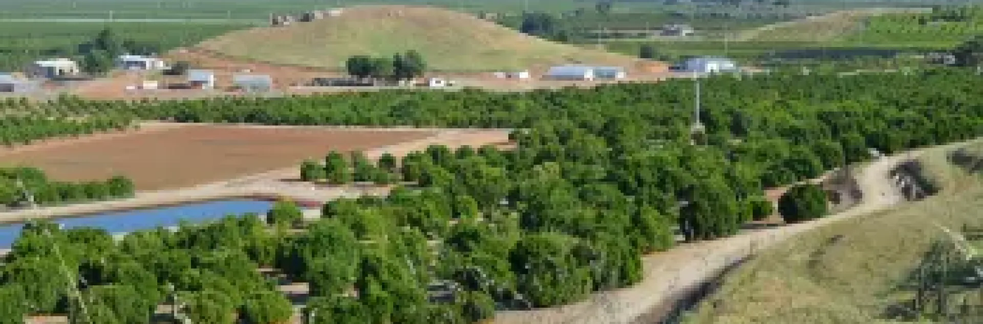 Aerial view of Lindcove REC