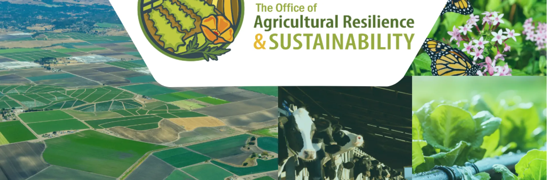 Office of Agricultural Resilience and Sustainability photo collage