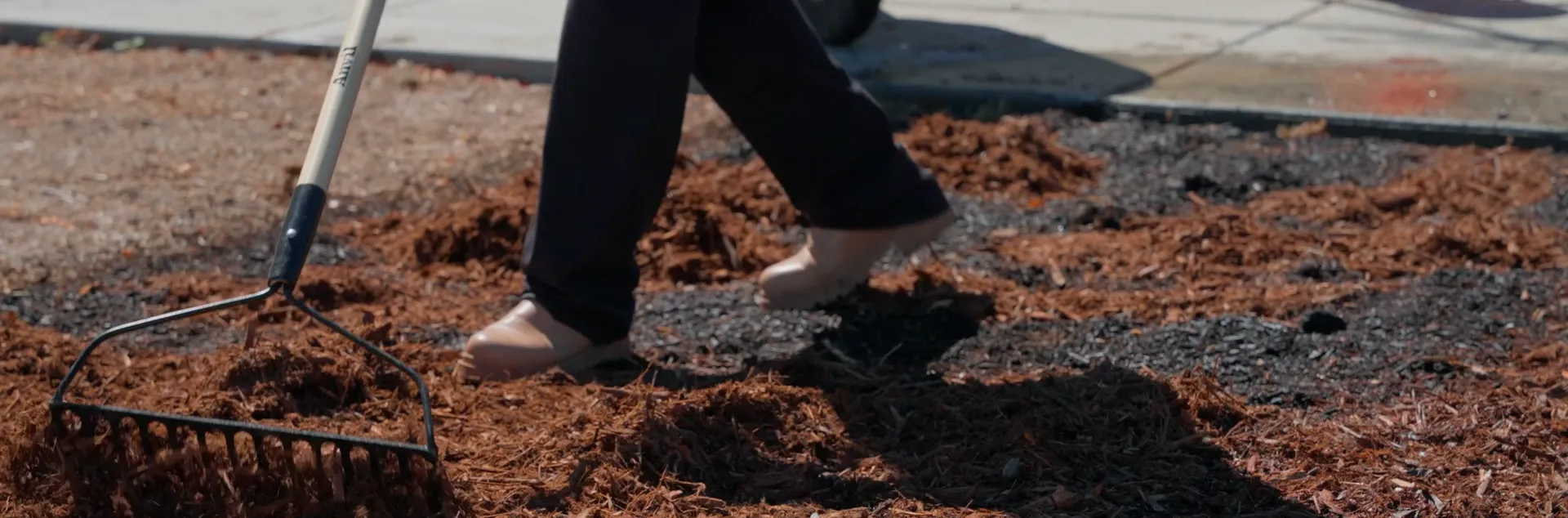 A person raking composted mulch