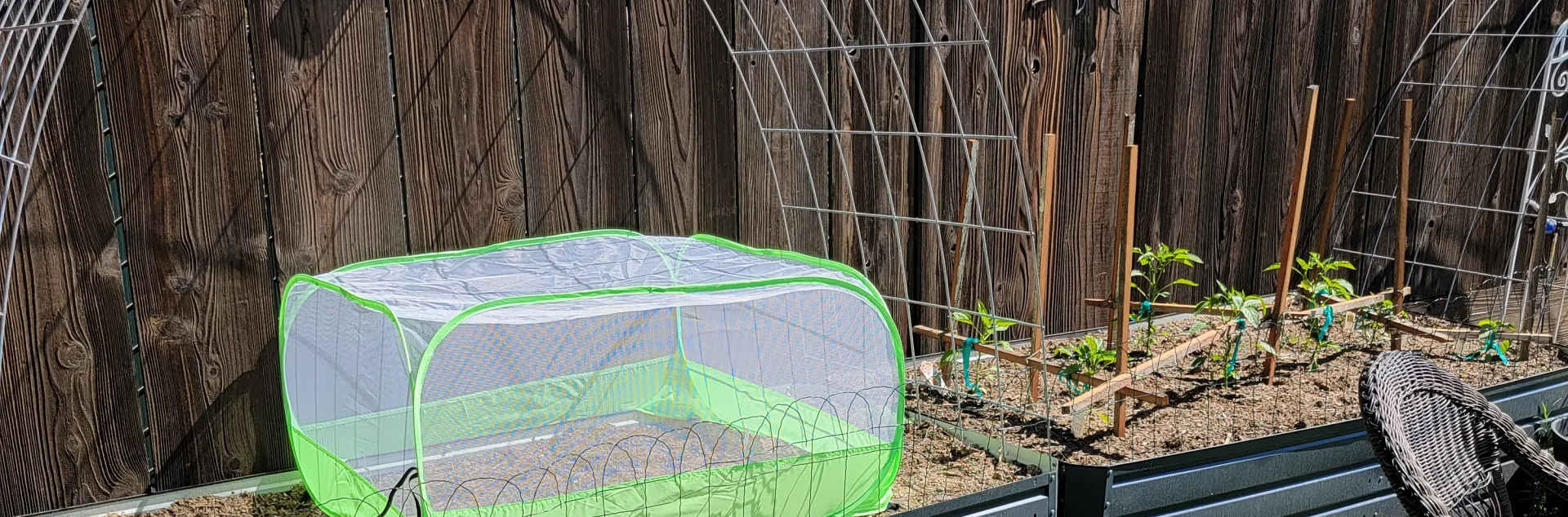 Row coveron a garden bed