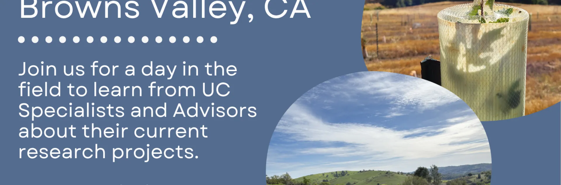 Field Day at SFREC, September 26 in Browns Valley, CA. Join UC specialists and advisors for a day in the field learning about current research on beef cattle, soil amendments, climate change, and oaks. $15 per person, including lunch. Three photos show a young tree in a field, a grassy research site, and a black cow. Registration: link.ucanr.edu/sfrec2026.