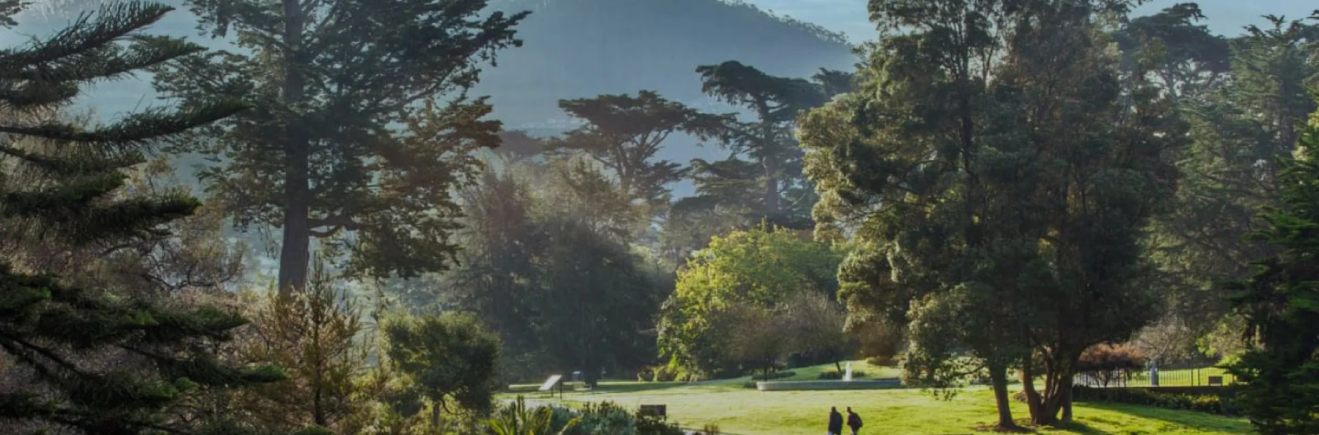 San Francisco Botanical Garden
