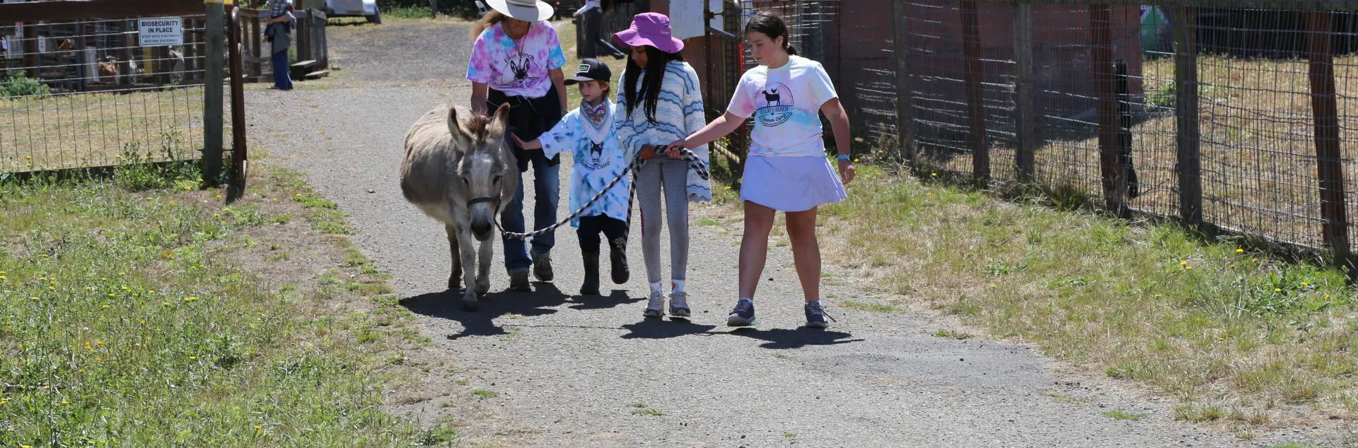 An adult and three kids walk Sassy down a path at Elkus Ranch