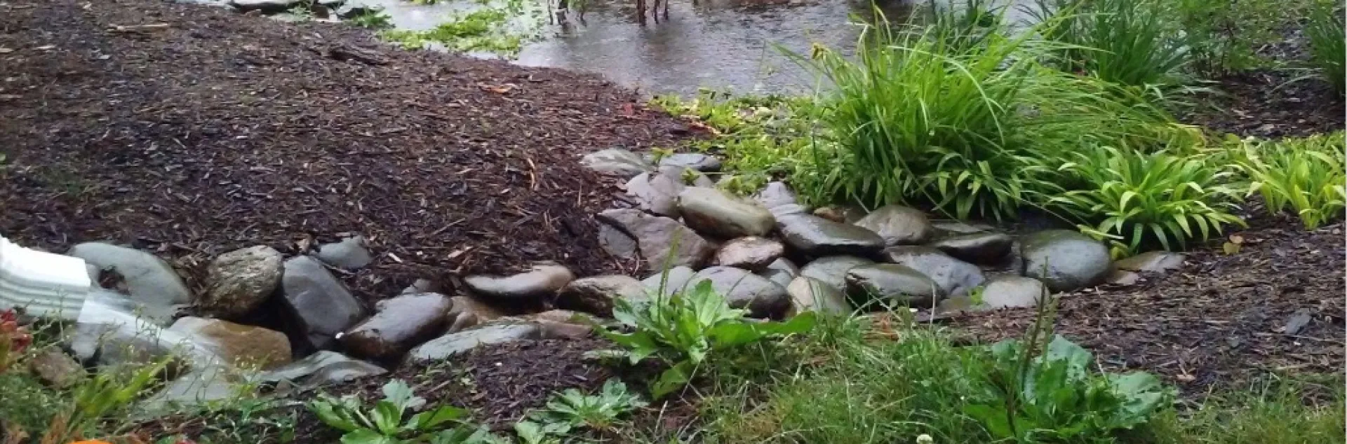 Landscaping for the small water cycle
