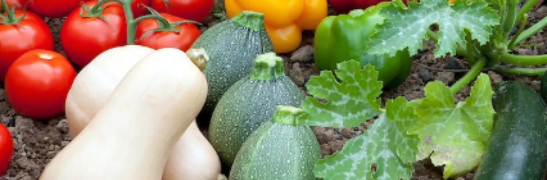 Farmer's Market