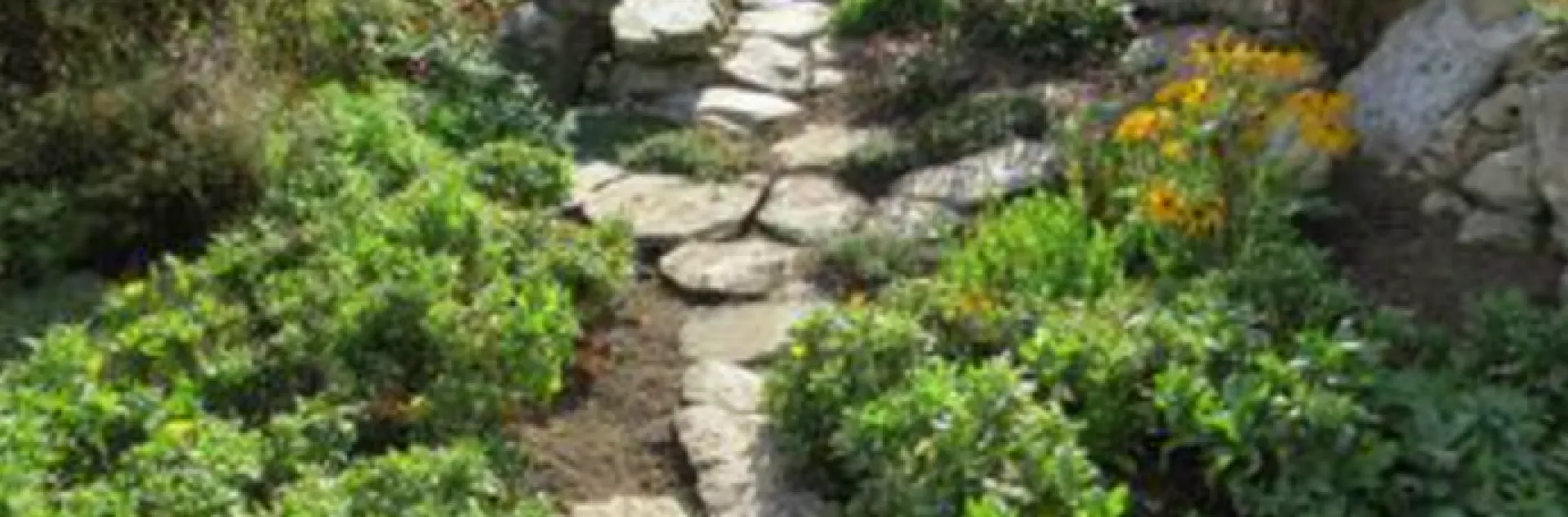 stone pathway between garden beds