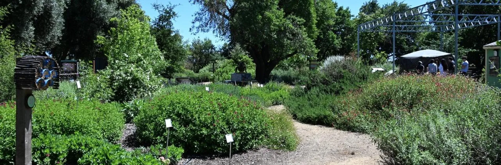 The UC Davis Bee Haven