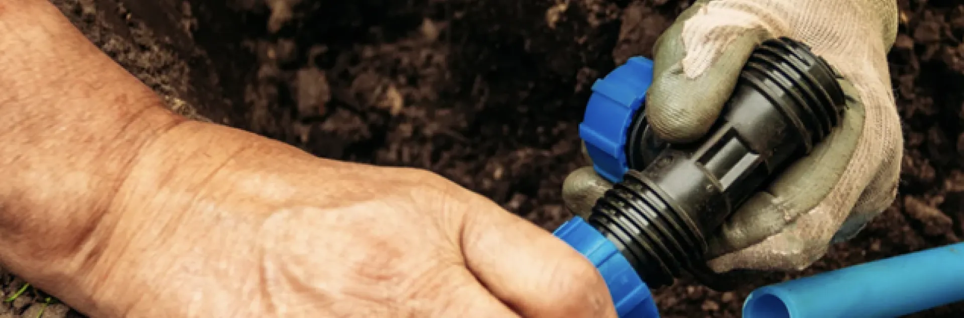 Installing Drip Irrigation