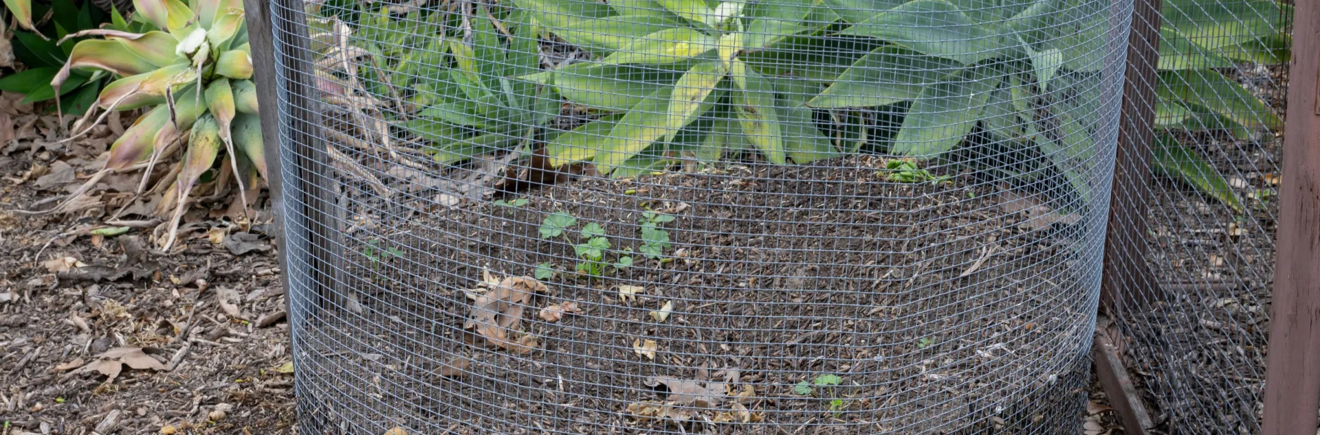 Green waste compost piled in a wire mesh container.