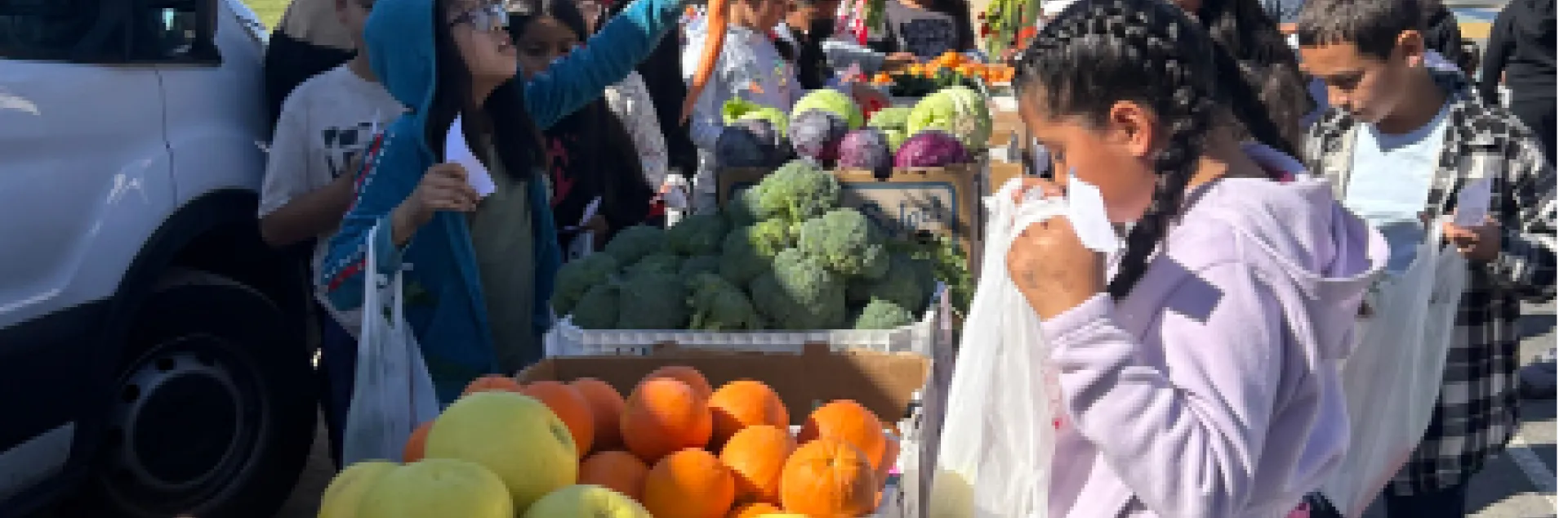 Students select colorful fresh produce from boxes to take home in bags