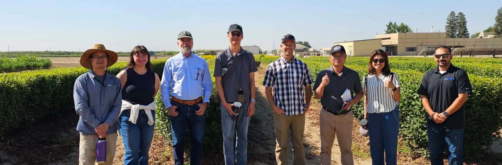 Eight people standing in front of tea plants in field