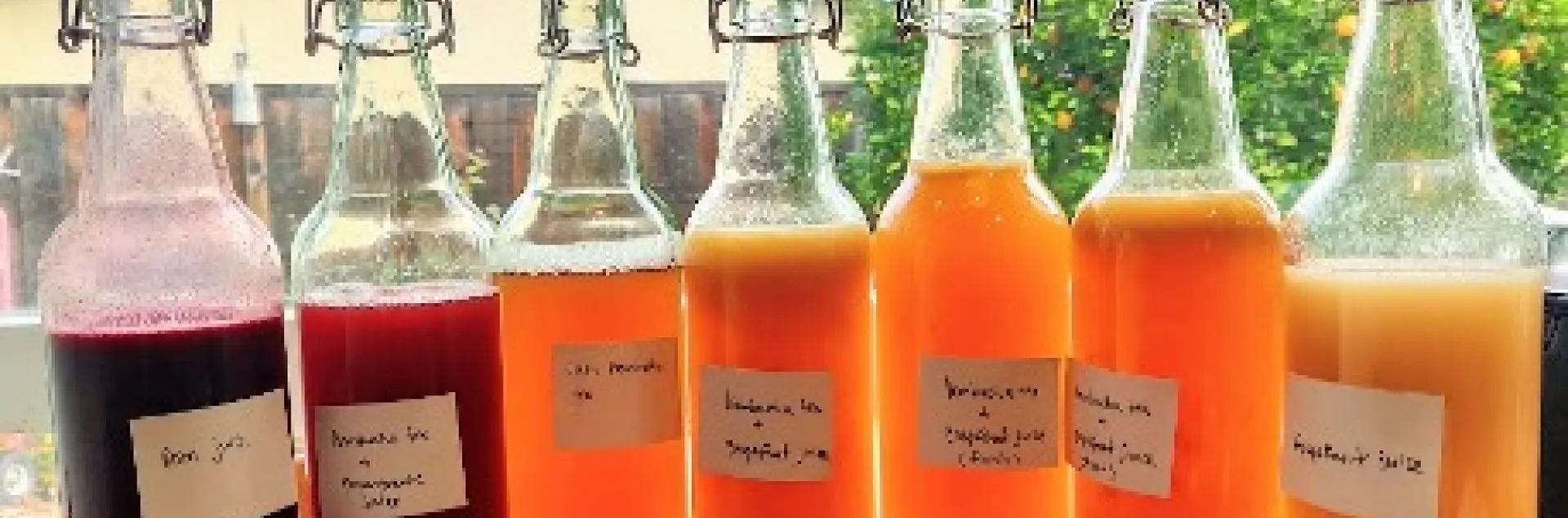 Kombucha bottles