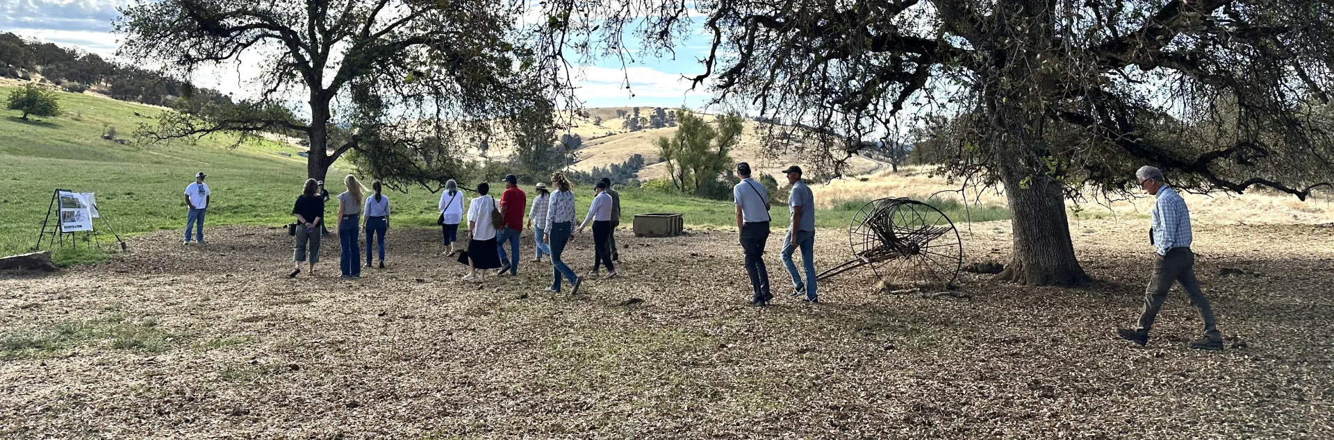 Tour participants walk under big trees at Sierra Foothill REC to meet up with researcher Toby O'Geen