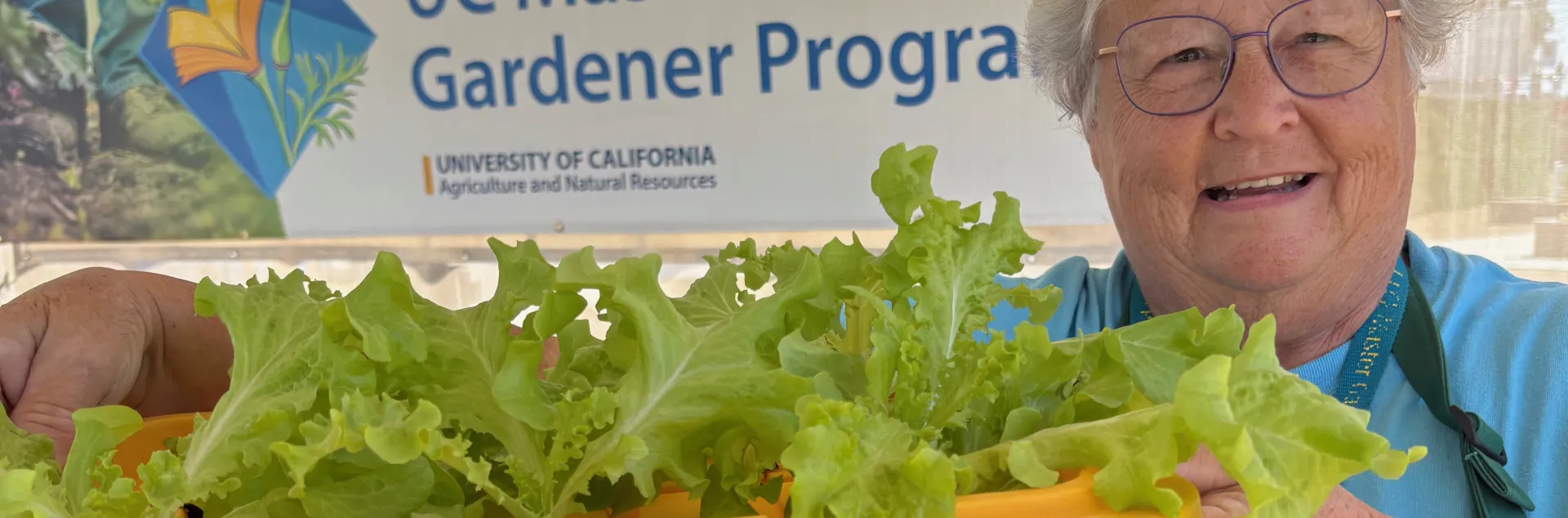 Woman holding up a tray of hydroponically grown lettuce with roots hanging down below the tray. UC Master Gardener signage in the background.
