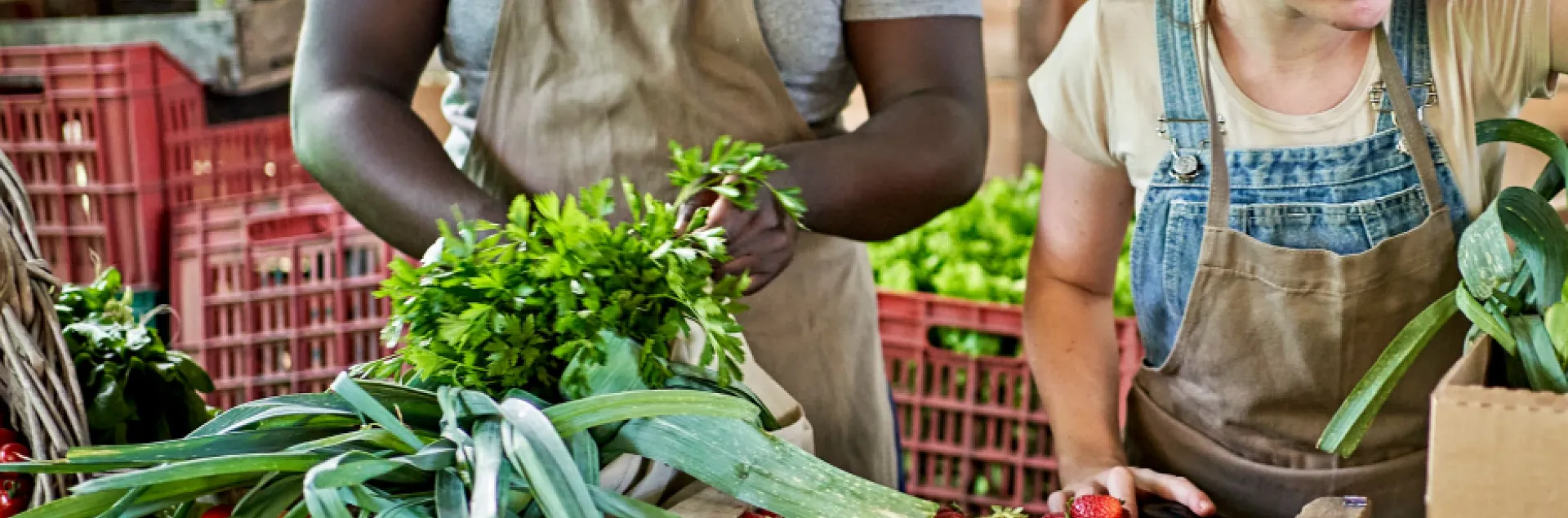 Two farmers wearing aprons pack boxes of fresh fruits and vegetables.
