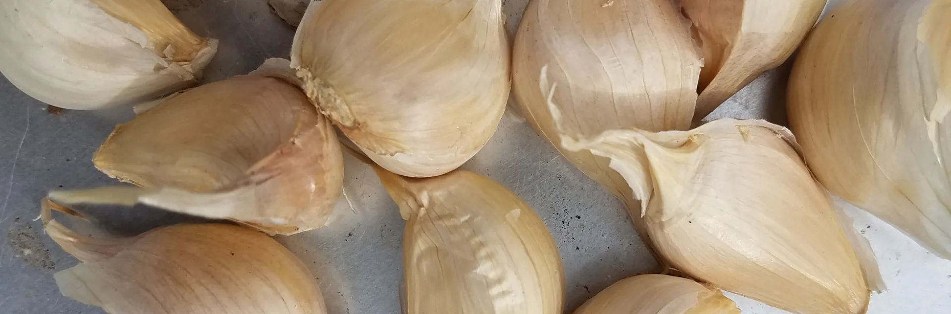 garlic gloves