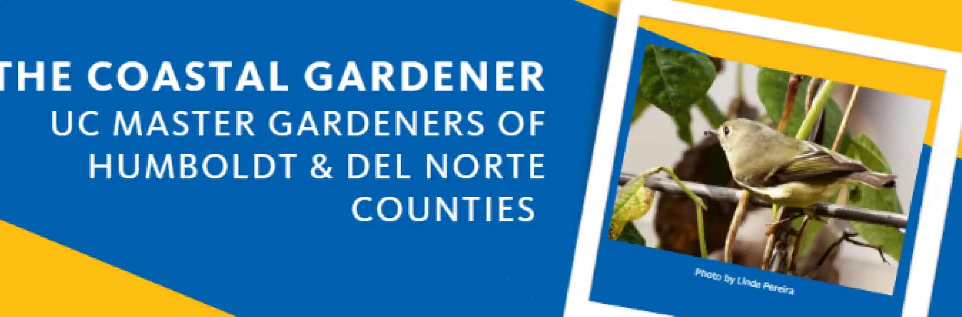Header for our newsletter, The Coastal Gardner, blue and gold background with a gray bird on the right hand side.