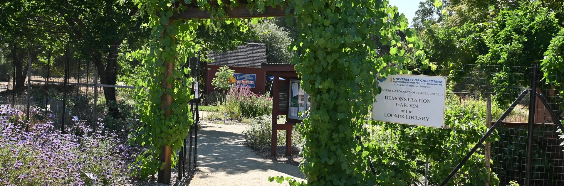 Demo Garden Entrance