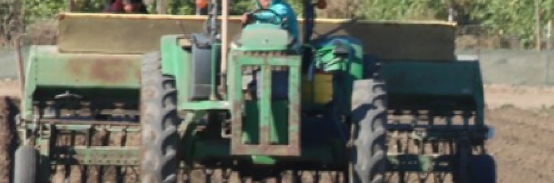 grain drill planting cover crop