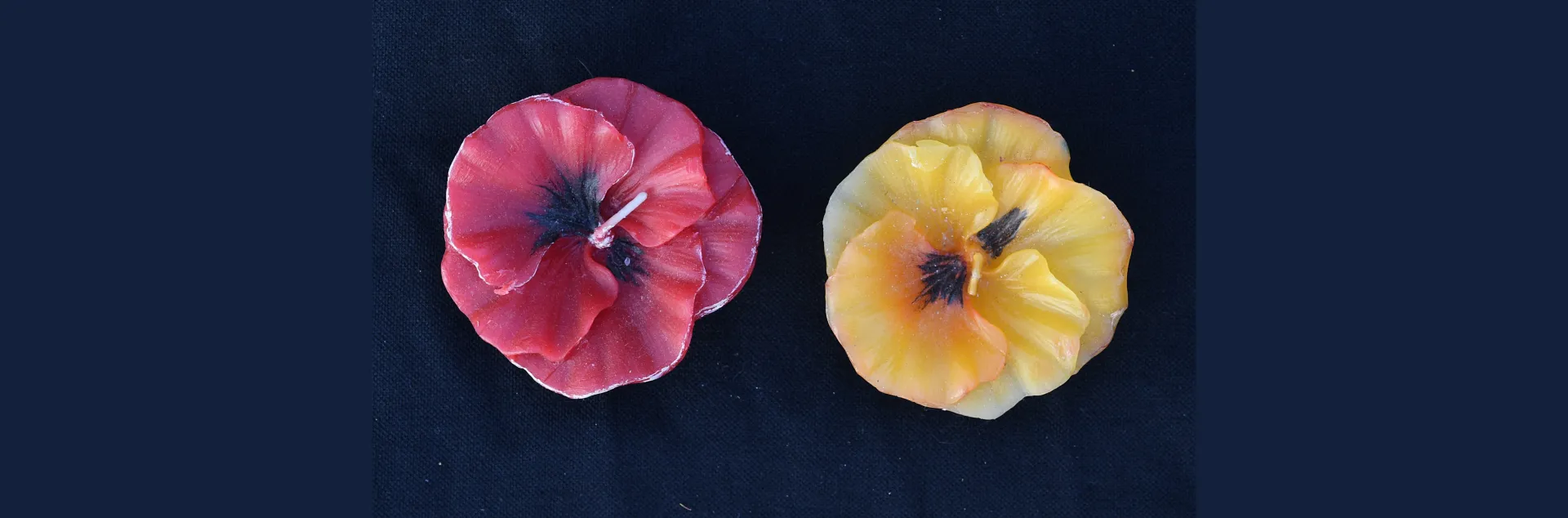 These candles are from bees wax. (Photo by Kathy Keatley Garvey)