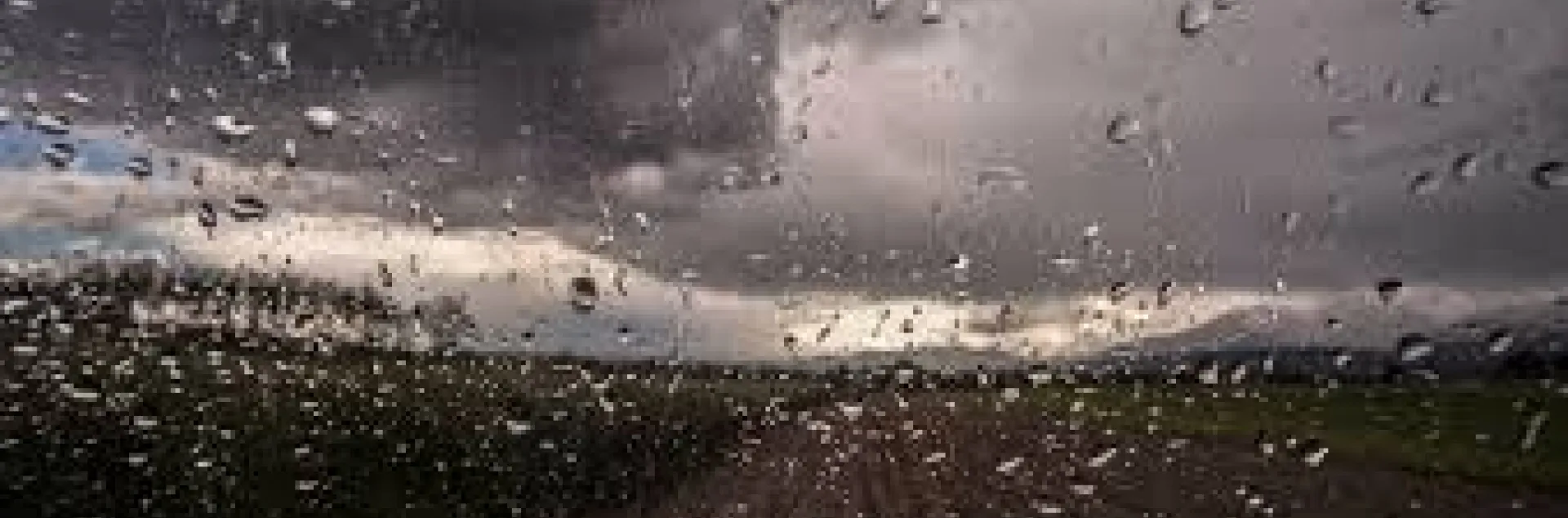 rain
