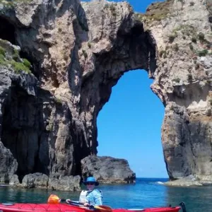 Lynn Schmitt-McQuitty