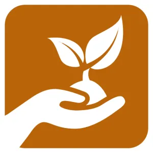 HCIP icon