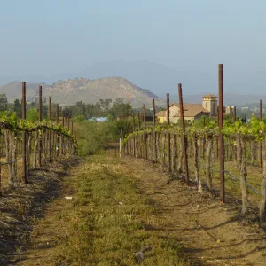 Temecula view