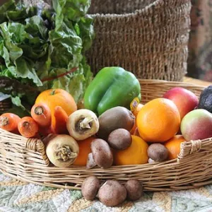 stock fruit