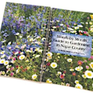Month-by-Month Guide to Gardening in Napa County