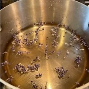 Lavender and Wine in Pot