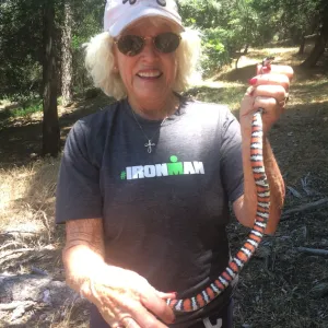 A woman holds up an orange and black striped snake.