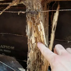 Crumbling wood member, shown as evidence of termite destruction