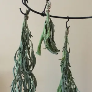 Three bunches of air-drying herbs on hooks. 
