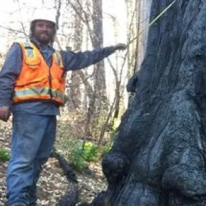 Brian Woodward, PhD Forest Advisor