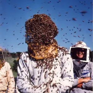 Staff photo for Kent Daane