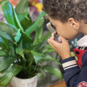 Science in the Garden